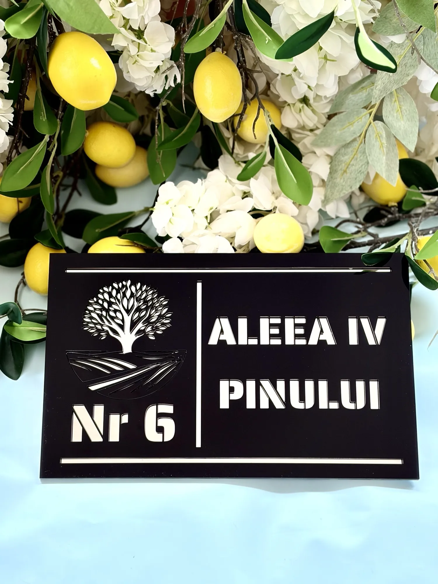 Număr de casă din plexiglas gravat, plăcuță de adresă