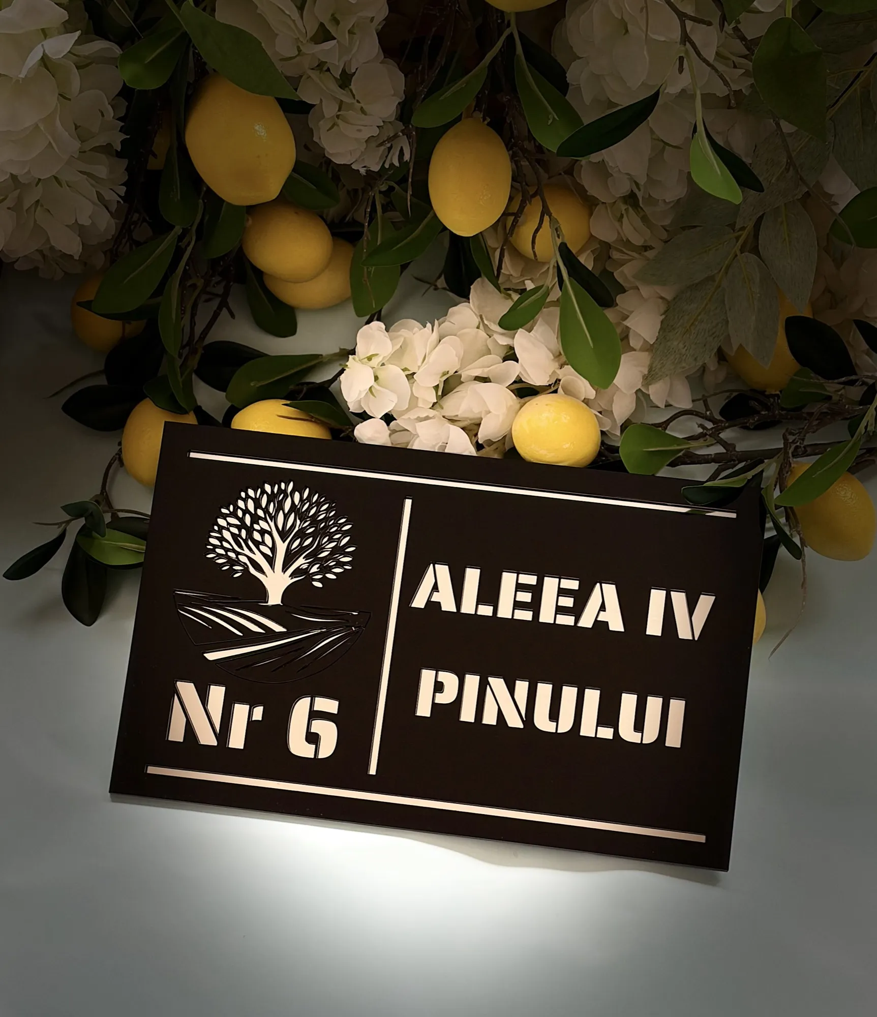 Număr de casă din plexiglas gravat, plăcuță de adresă