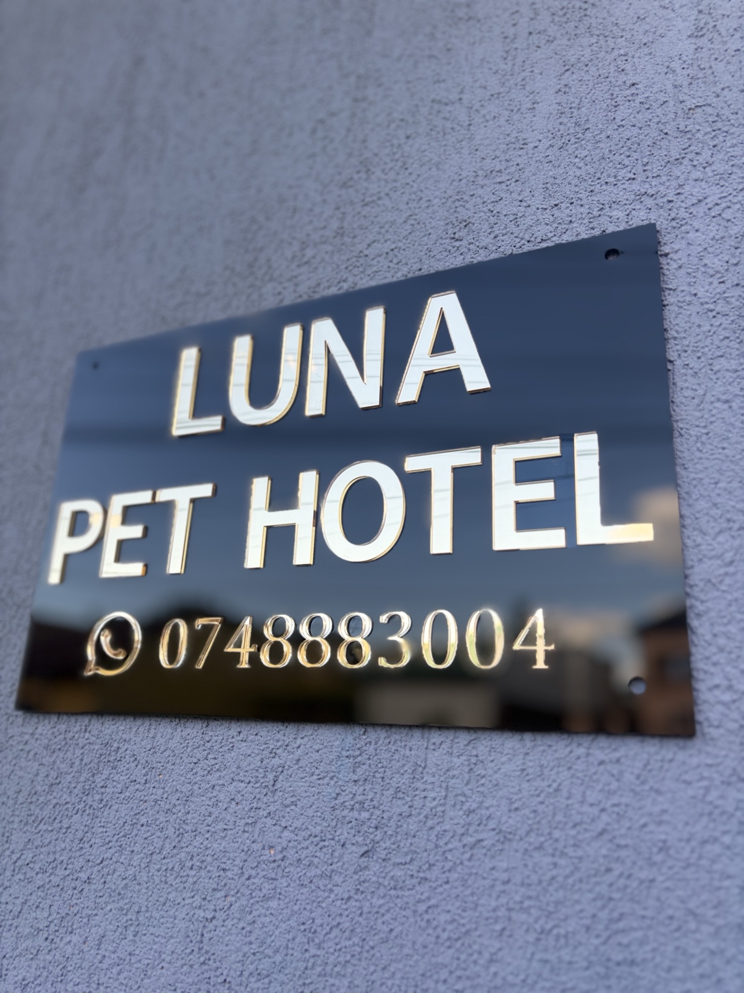 Placă gravată din plexiglas oglindă — exemplu de trofeu / placă premium