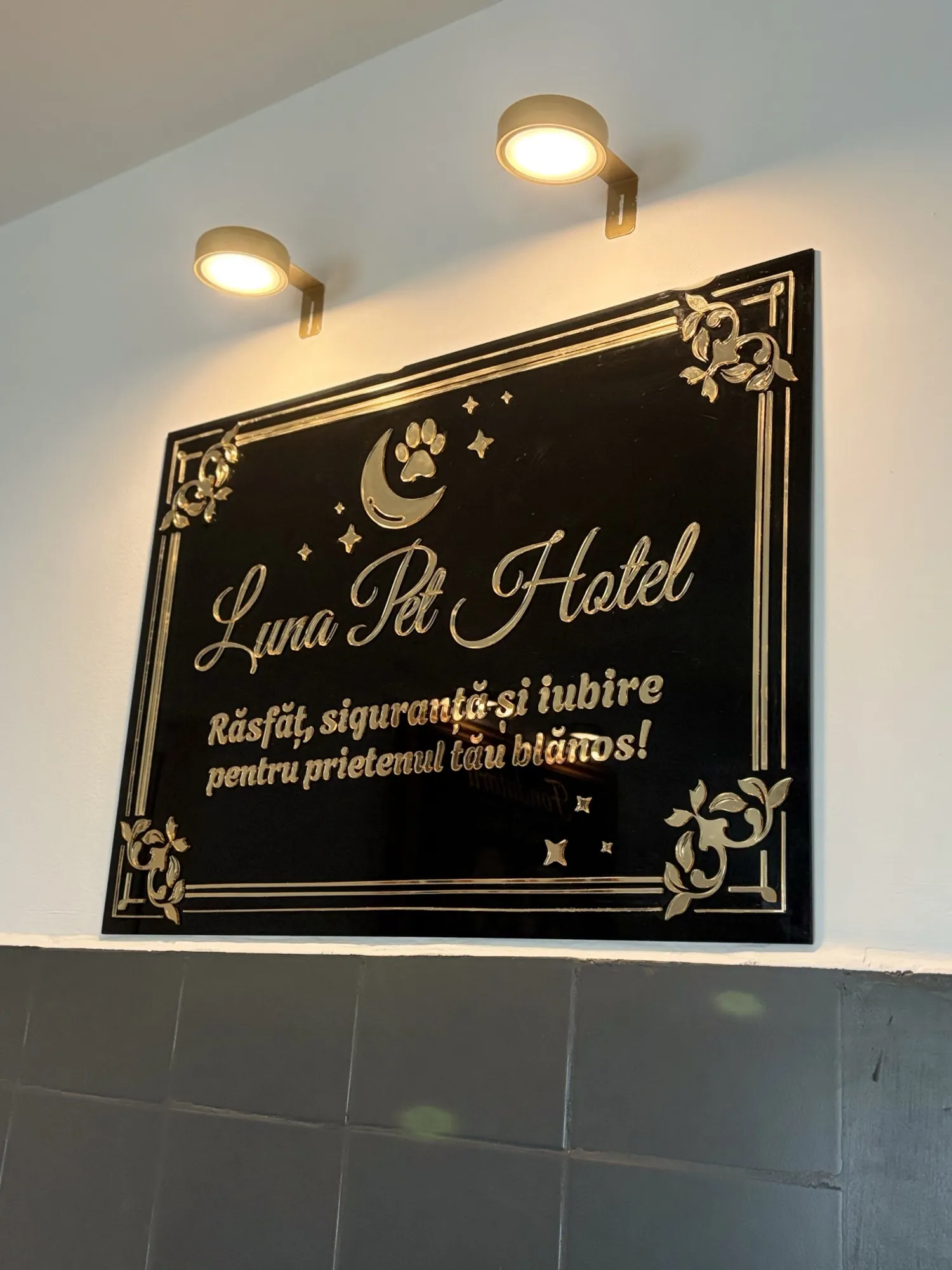 Panou din plexiglas gravat cu logo, semnalistică pentru firmă