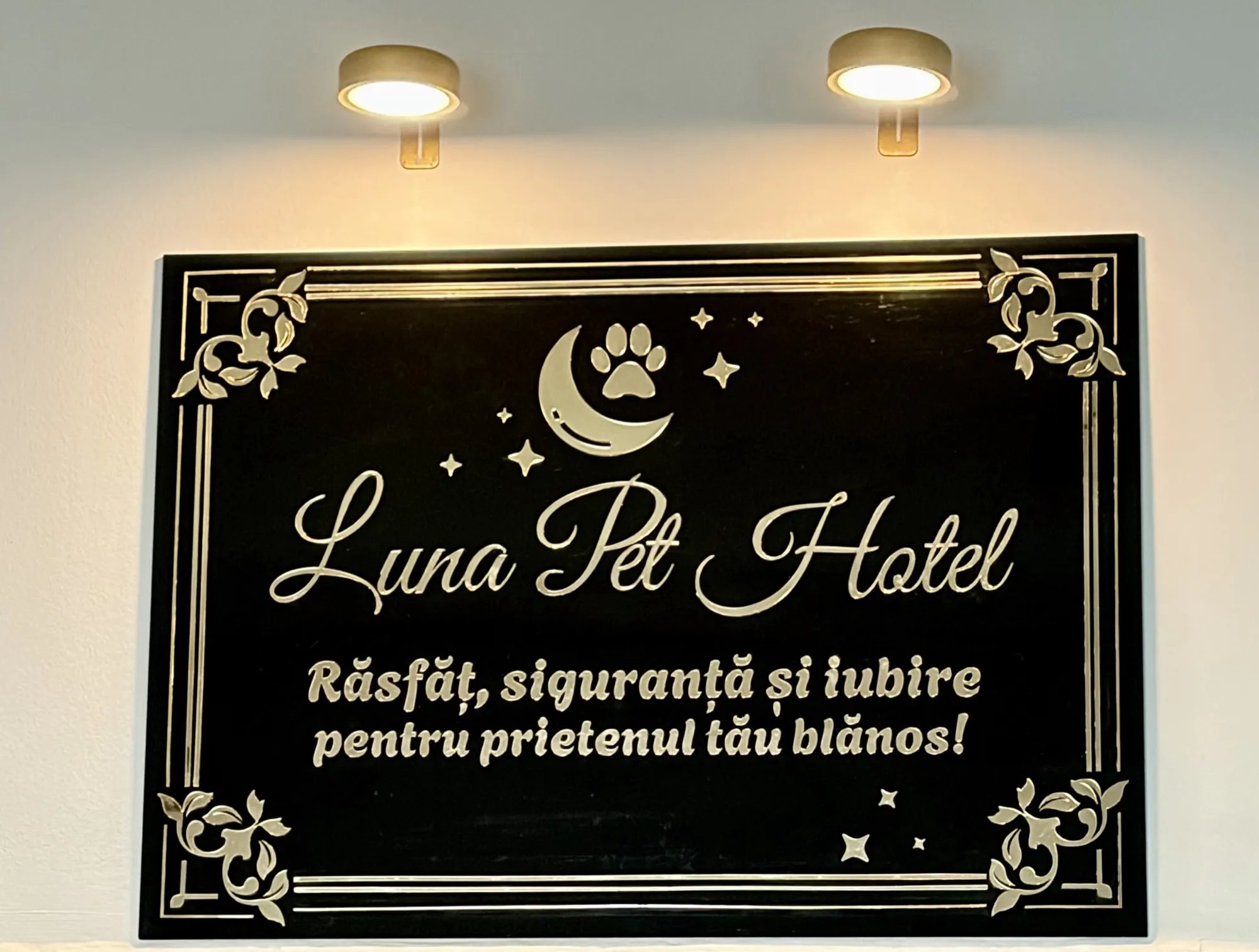 Panou din plexiglas gravat cu logo, semnalistică pentru firmă