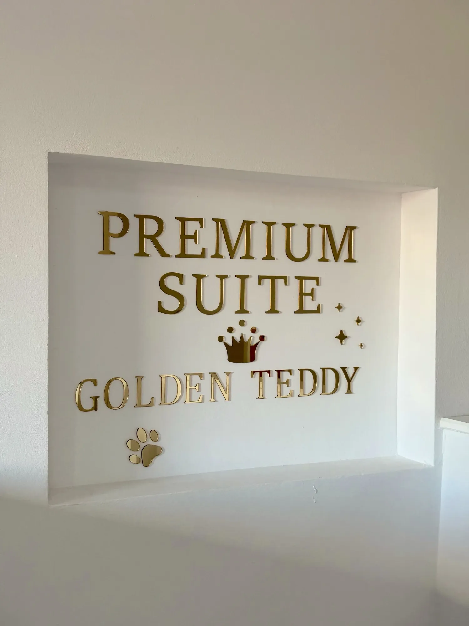 Panou din plexiglas gravat cu logo, semnalistică pentru firmă